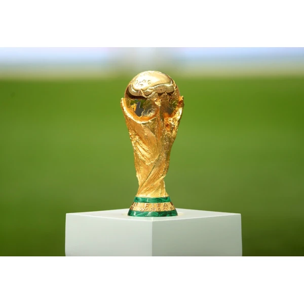 FIFA世界杯
