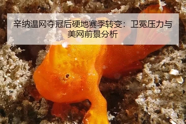 xin-na-wen-wang-duo-guan-hou-ying-di-sai-ji-zhuan-bian-wei-mian-ya-li-yu-mei-wang-qian-jing-fen-xi-2-612.jpg